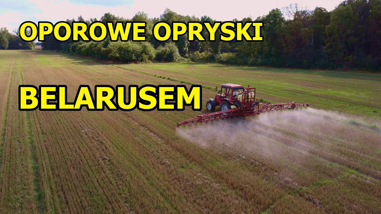 Desykacja samosiew&oacute;w (MTZ BELARUS 952, HARDI MEGA 15m)