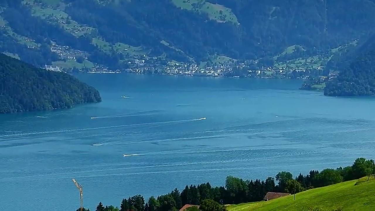 kurzer waldspaziergang movie