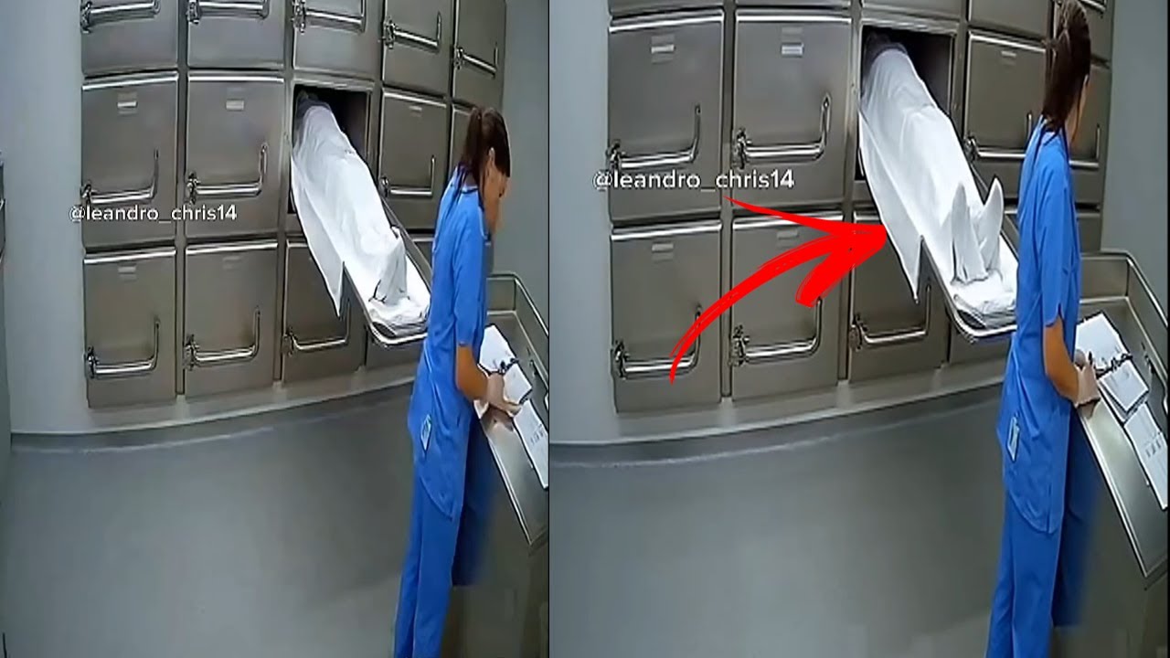 SE VOC&Ecirc; ACHAVA QUE TINHA VISTO TUDO ASSISTA ESSE V&Iacute;DEO BIZARRO E MEDONHO V&Iacute;DEOS ASSUSTADORES