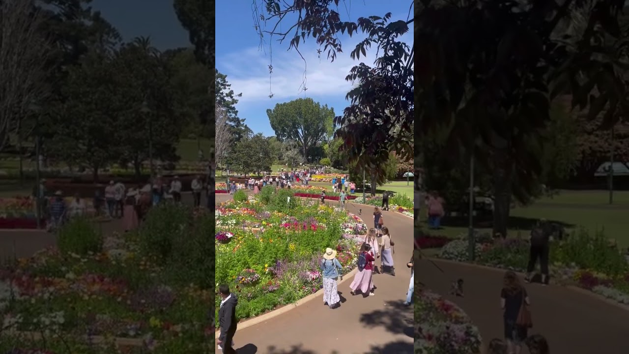 Toowoomba flower festival in Australia ￼