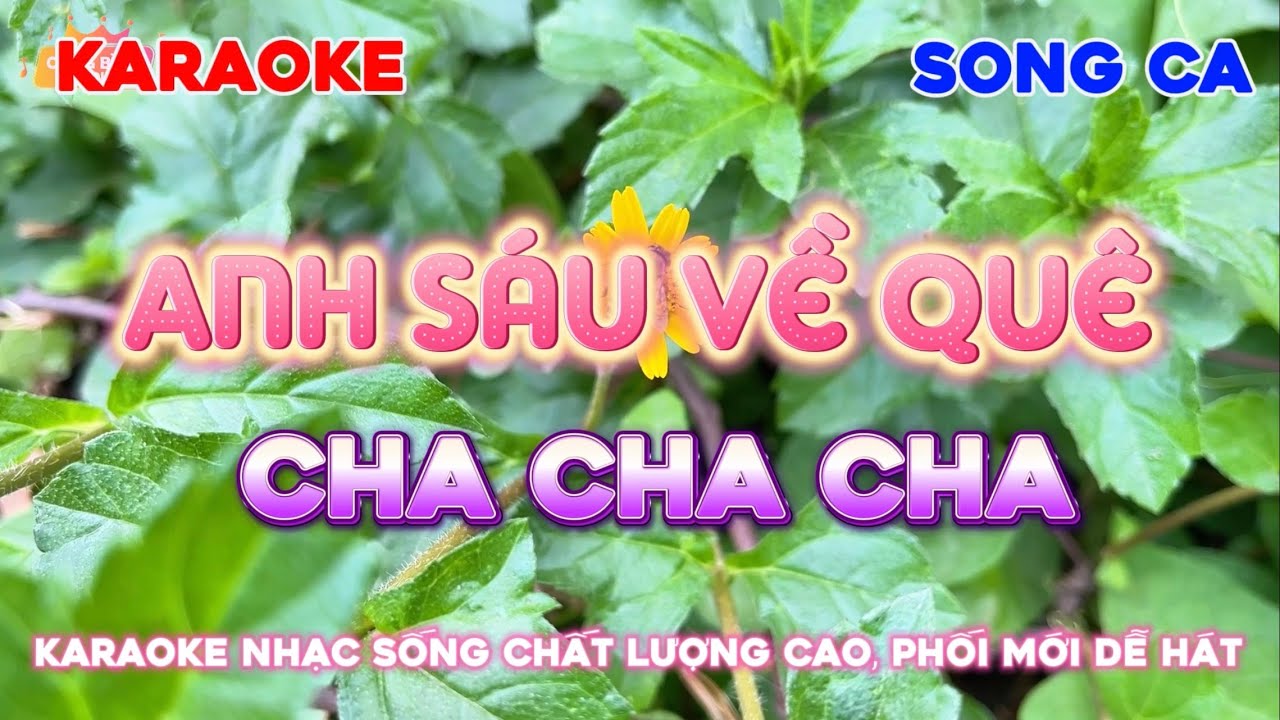 [ Karaoke Song Ca ]  ➤ Anh Sáu Về Quê - Cha Cha Cha Phối Mới Cực Hay | Karaoke Công Bình