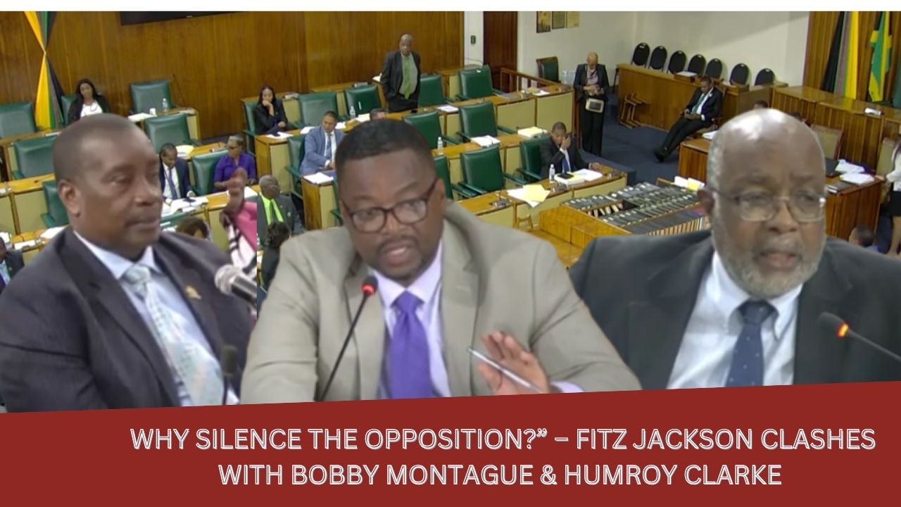 Fitz Jackson Clashes With Bobby Montague & Humroy Clarke In Heated Parliament Showdown