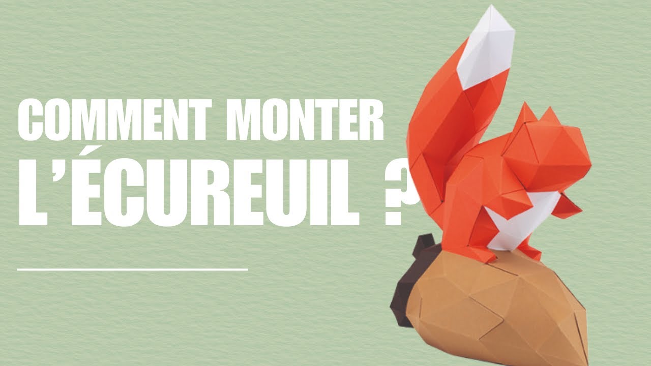 Montage de l'écureuil