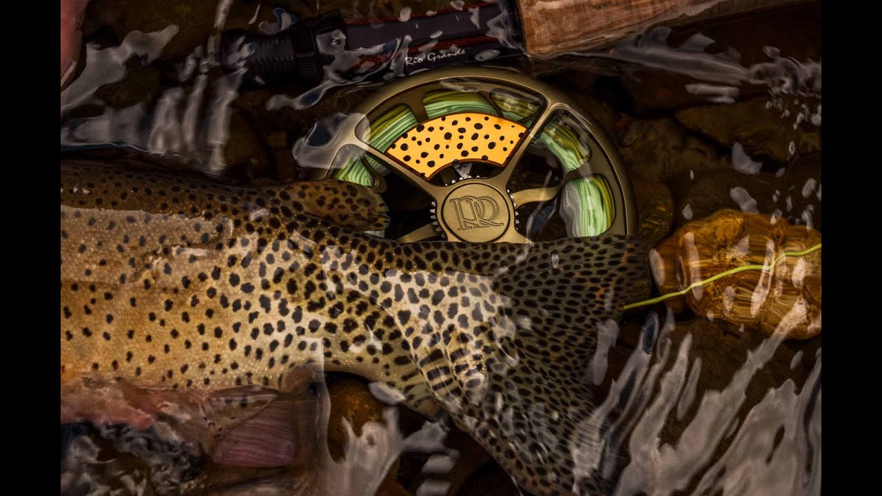 Native Series: Rio Grande Cutthroat Reel