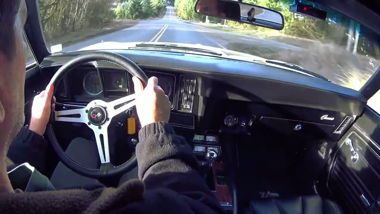 Z28 Bald Pk