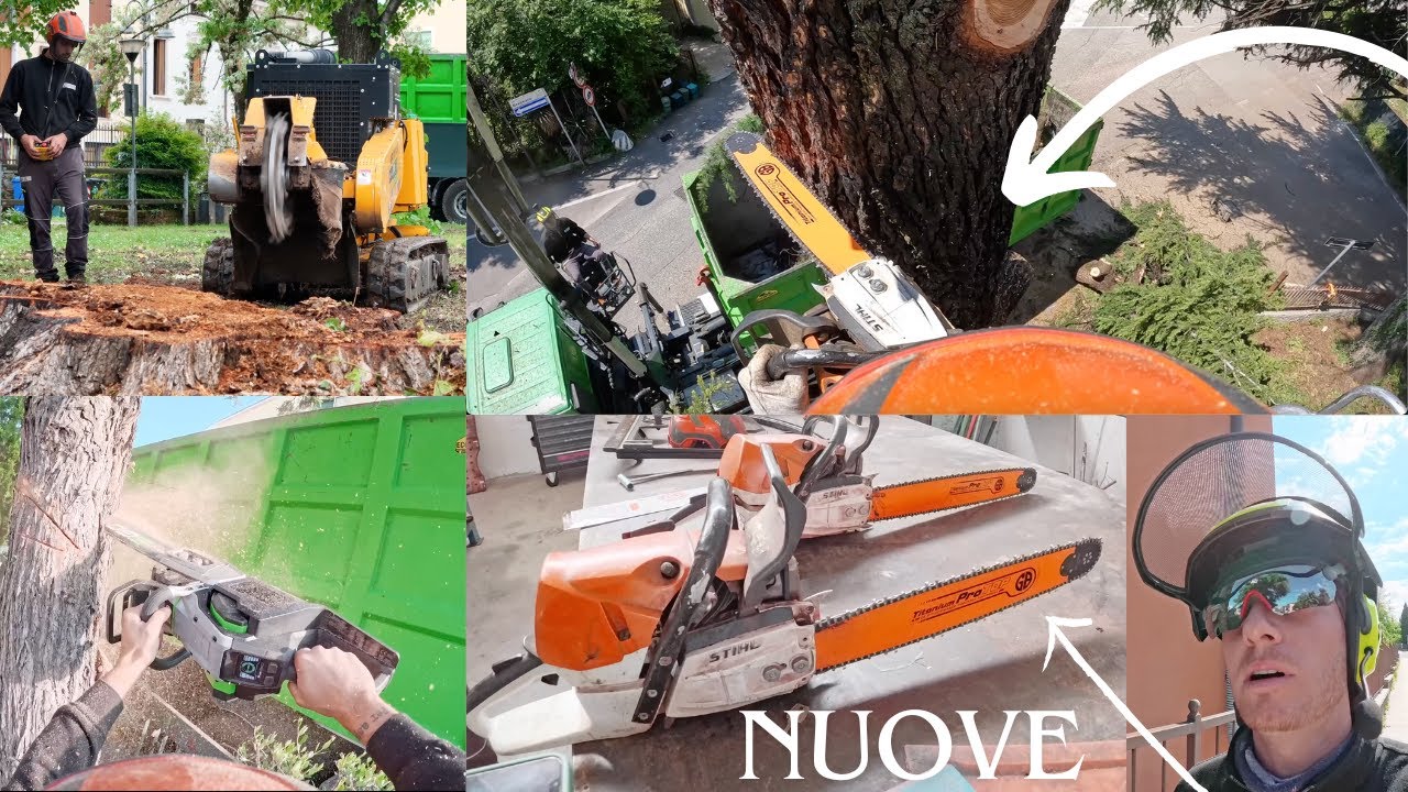 ABBATTIMENTO GRANDE CEDRO DEL LIBANO CON BARRE STIHL GB FORESTRY + CANTIERE CON MOTOSEGHE EGO POWER