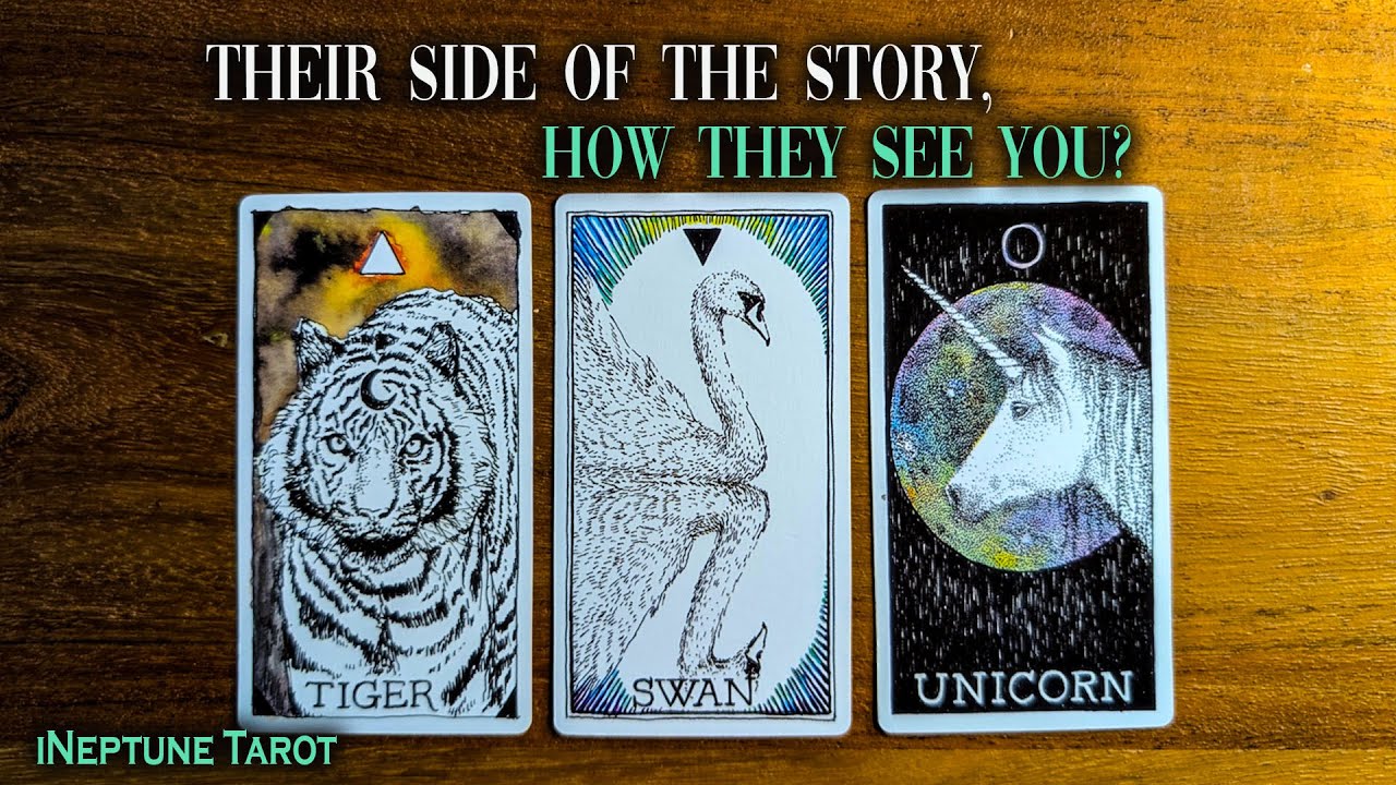 WHAT’S ON THEIR SIDE? 👁️✨HOW DO THEY SEE YOU? 💭💗| Pick a Card Tarot Reading (Timeless)