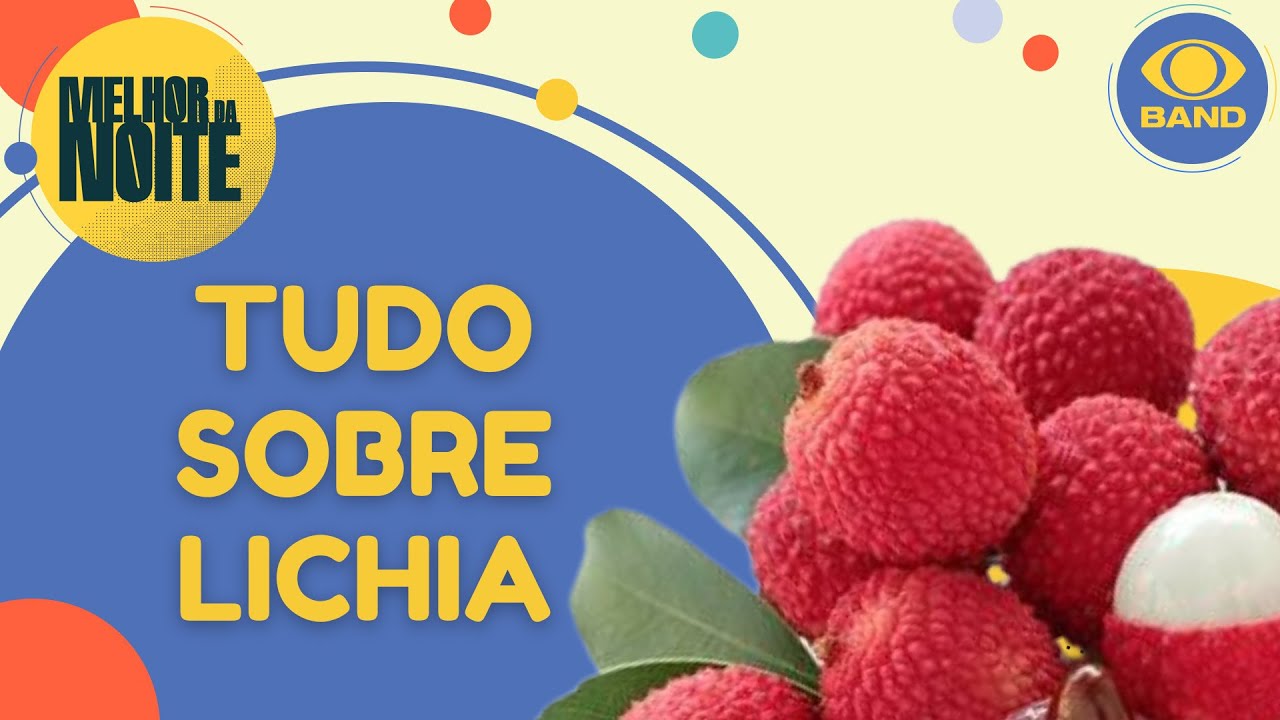 T&Aacute; NO CAMPO, T&Aacute; NA MESA: tudo sobre a colheita da lichia | Melhor da Noite