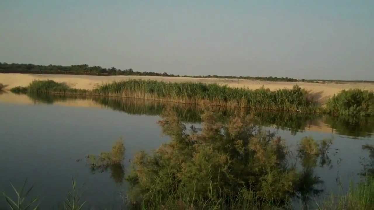 Touggourt le Lac de Merdjadja  تقرت بحيرة مرجاجة