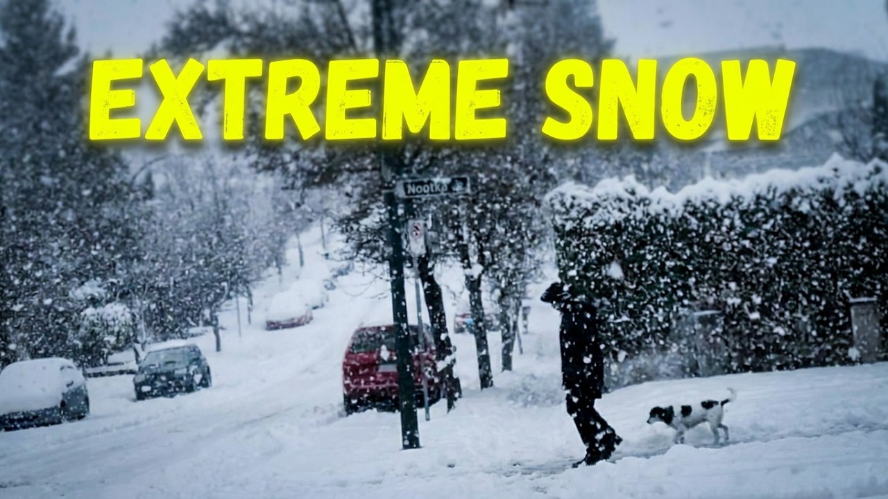 ❄️❄️❄️ SNOWSTORM in Canada 