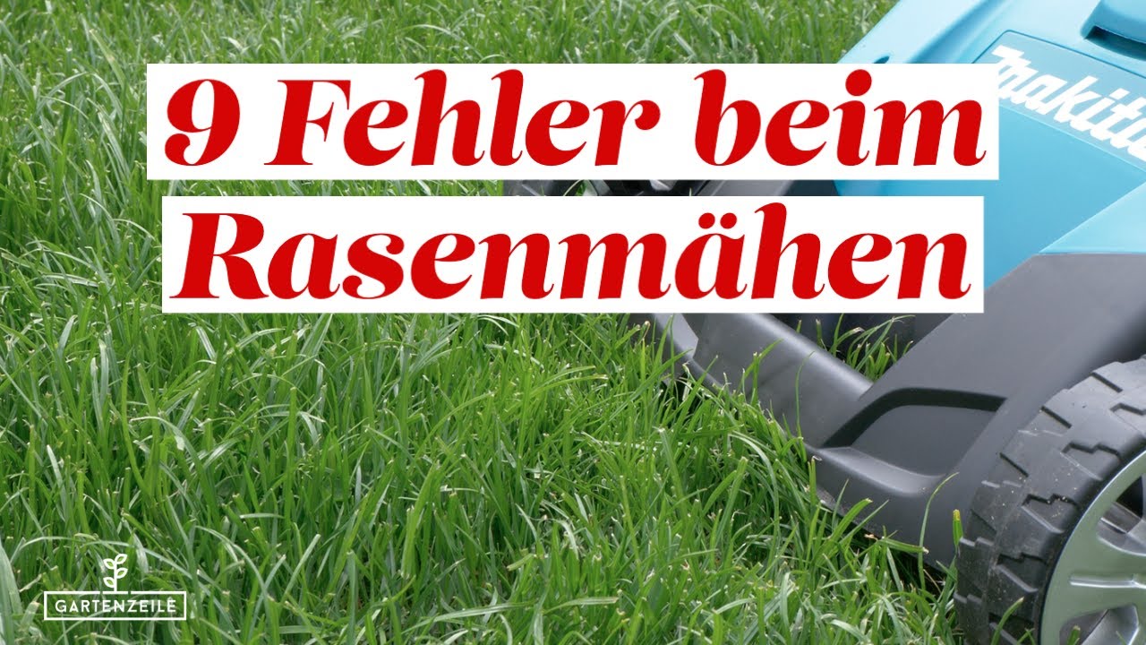 9 Fehler beim Rasenm&auml;hen die du unbedingt vermeiden solltest!