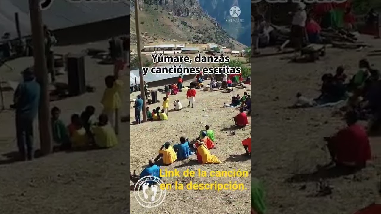 Kwira✋ Les mostramos parte de uno de nuestros proyectos, aqu&iacute; el link:👀  