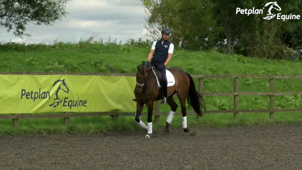 Secrets to success - Preparing for your preliminary Petplan Equine Area Festival
