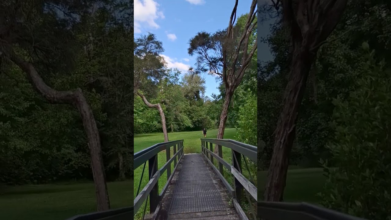 Walkwithme@ Stoneham park Kawerau #2