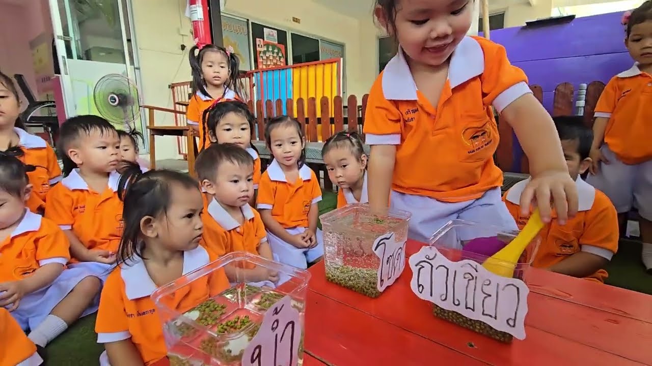 โครงงานถั่วเขียวเต้นระบำ | บ้านคุณหนูเนอสเซอรี่