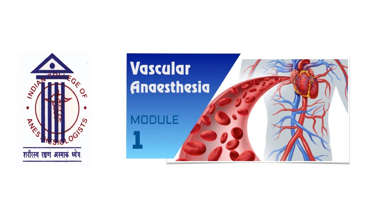 Vascular Anesthesia Module 1 | ICA Webinar
