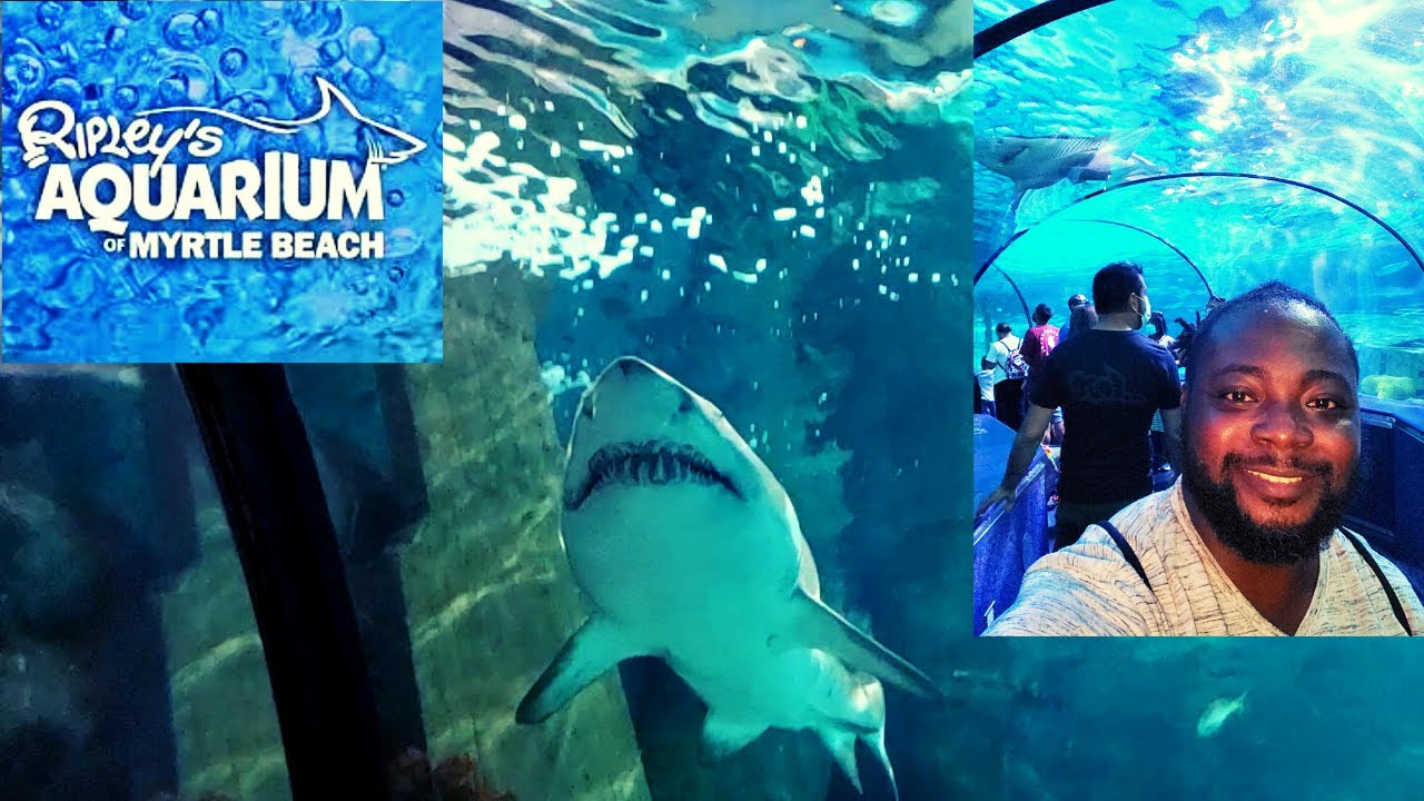 Ripley's Aquarium Of Myrtle Beach, South Carolina || Aquarium Tour