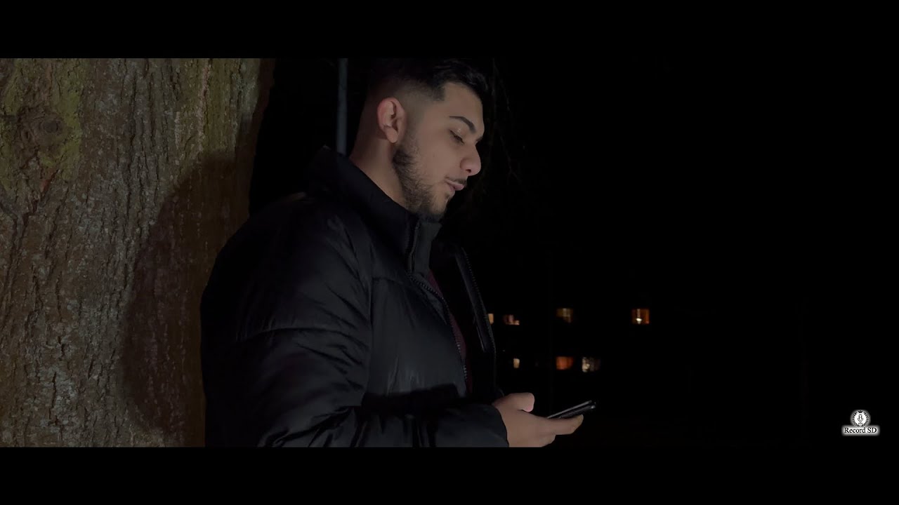 🎬 Seba Band -  Le Phralenca (Official Video klip 4K ) 2025 COVER 🎬