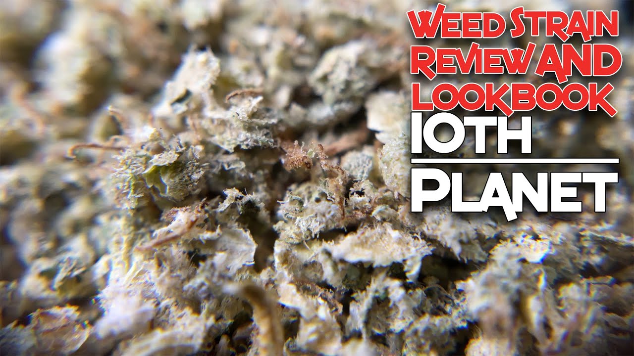 10th Planet Weed Strain Lookbook and Review
