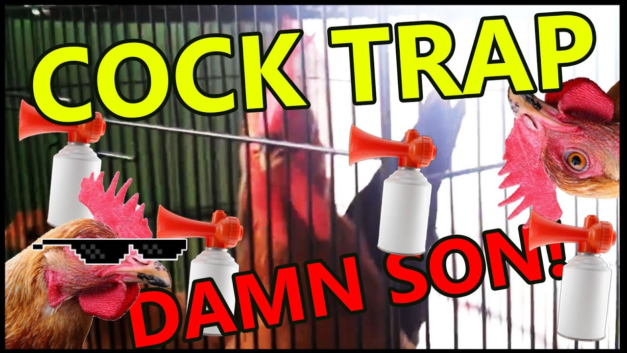 Cock Trap [Mardial Sound Design]