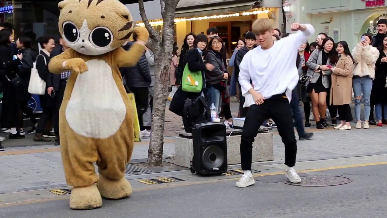 cococat&JHKTV]coco cat kpop dance & dancer park jun hwak bang bang bang 신촌명물고양이케이팝댄스와 박준학 뱅뱅뱅