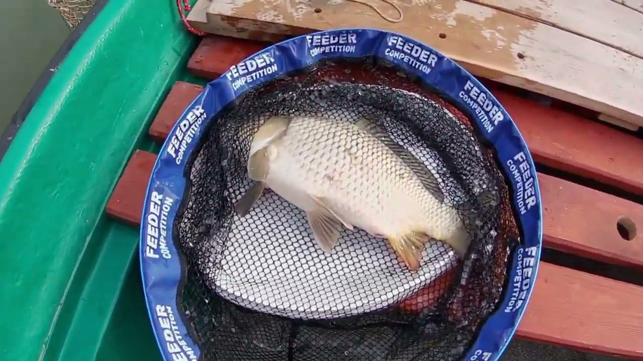 Ősz végi peca a Dunán