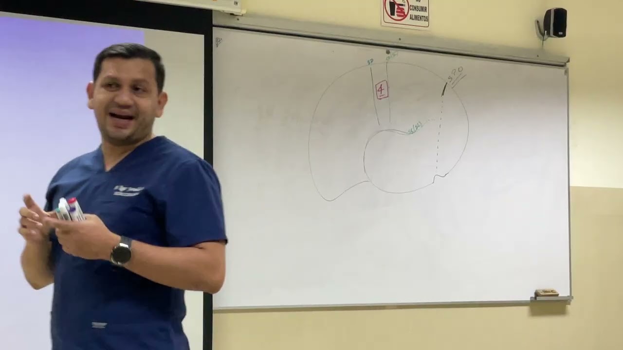 Video parte 2