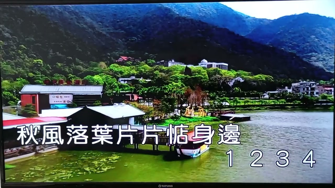 純伴奏男調(一半心酸一半醉)原男調+導2，感謝聆聽(主唱詞：洪明老師/曲：韓國野薔薇)