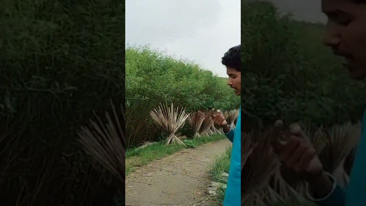#cid