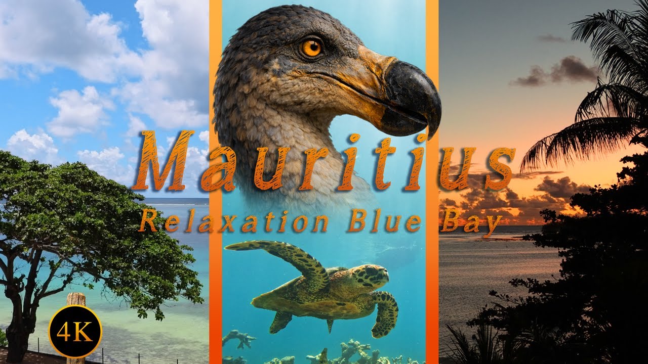 Mauritius Island, Blue Bay 🦤 Turquoise Blue Water, Coral Reefs & Relaxing Island Sounds 🐢 Extended 🌴