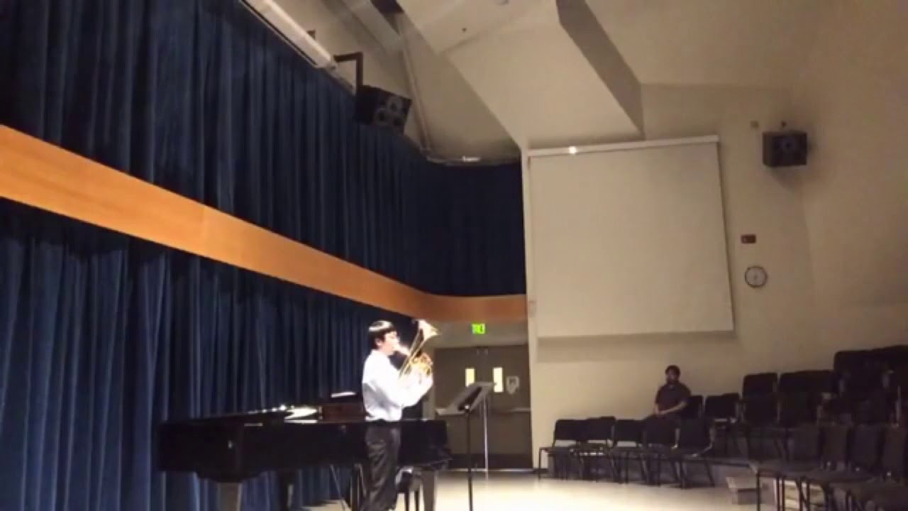 Baritone Concerto - Martin Ellerby