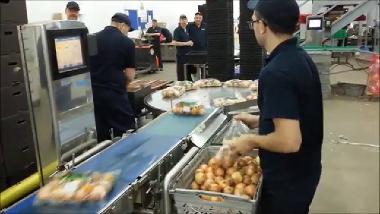 Pesar y ensacar cebollas o papas en sacos peque&ntilde;os de pl&aacute;stico.