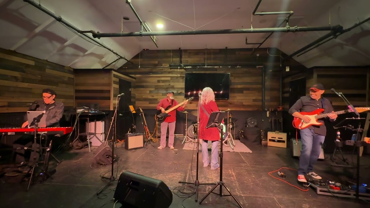 Lisa Guyer and the Jam Band  November 25, 2024