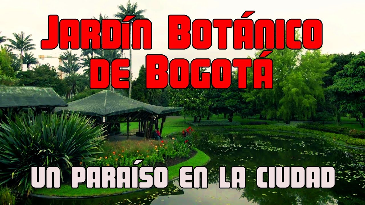 Discos El Dorado - Chaflan - Cuerdas Colombianas - Imagenes Jardín Botánico de Bogotá