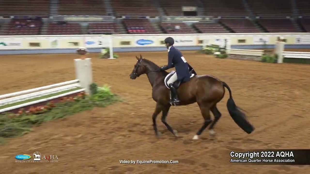 2022 Farnam AQHA and Adequan Select World Senior Working Hunter
