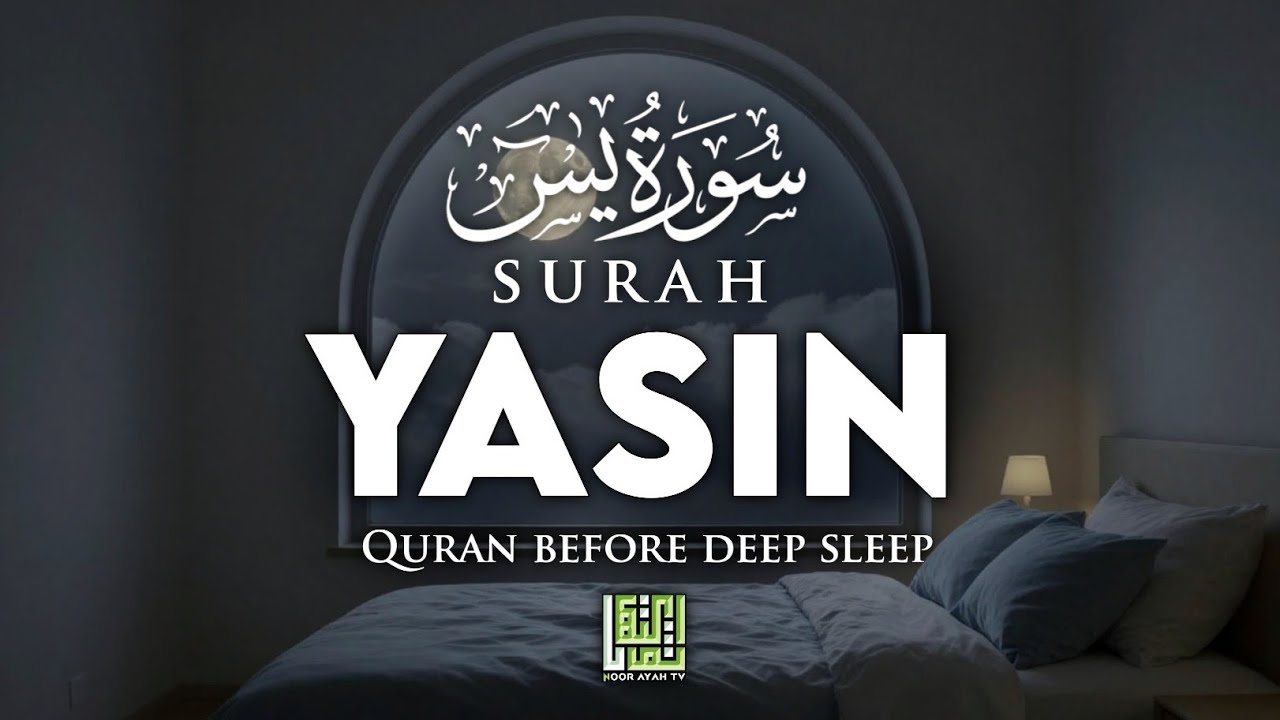 Surah Yaseen سورة يس | Soothing & Beautiful Recitation for Inner Peace & Sleep by Alaa Aqel 