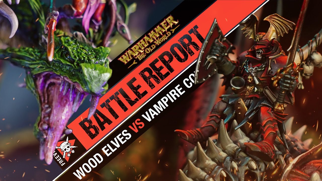 Vampire Counts vs Wood Elf Realms | Warhammer The Old World Battle Report