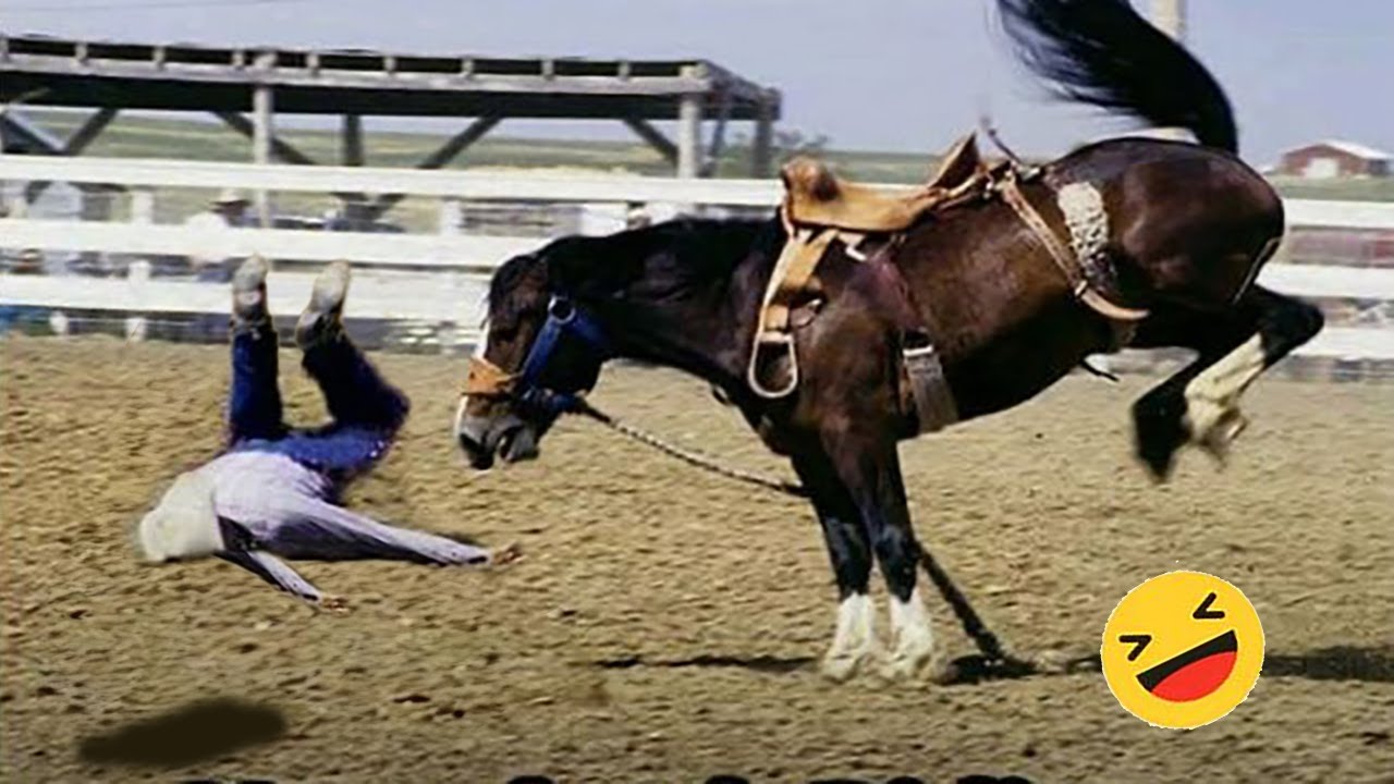 Катаемся на лошади с ребёнком… и неожиданный финал! Часть 2 👶🐎 🤣 Самое смешное видео о лошадях 20...