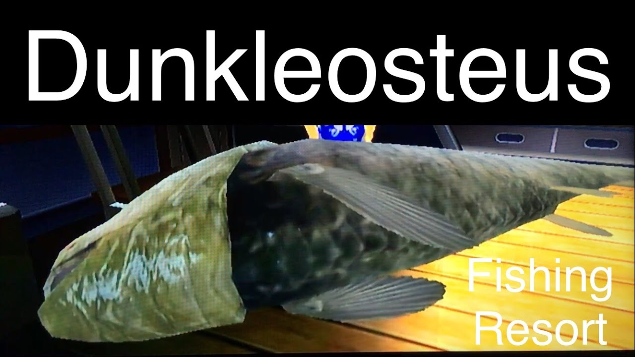 Let's Play: Fishing Resort Wii, Dunkleosteus