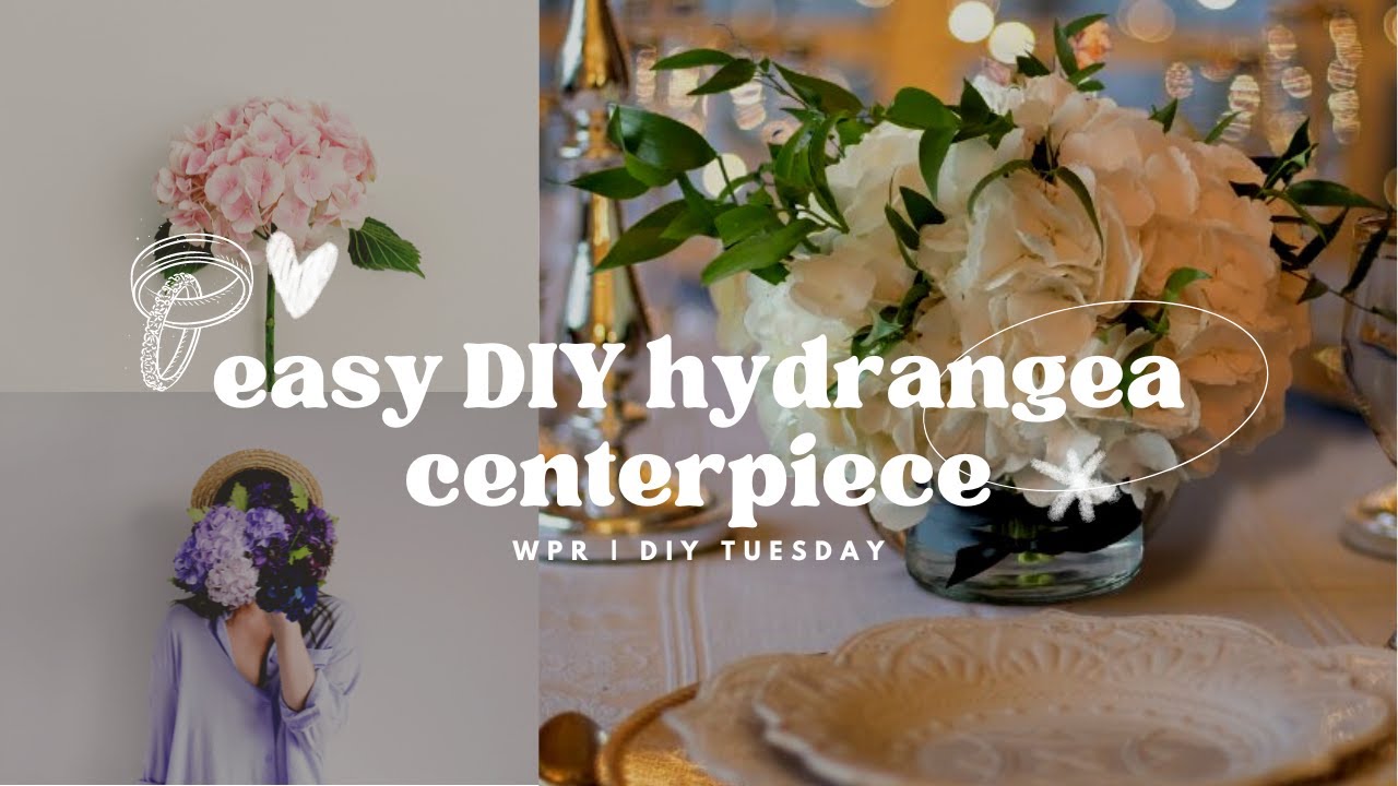 DIY Hydrangea Centerpiece: How To Make And Create an Elegant Floral Focal Point
