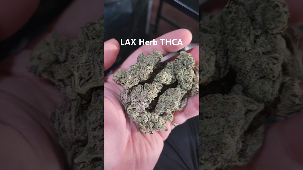 Have you heard of this new THCA company? #cbdvsthc #cbd #thca #thcareview #hemp