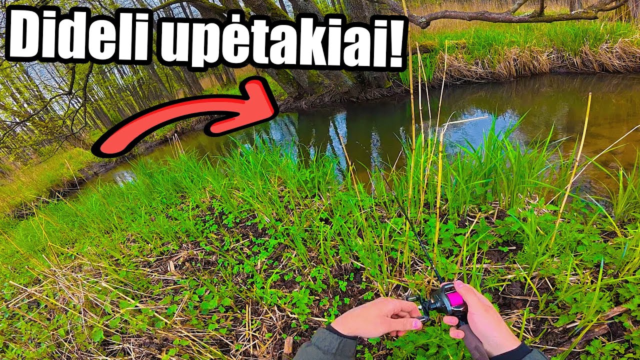DIDELI UPĖTAKIAI IŠ MAŽO UPELIO!
