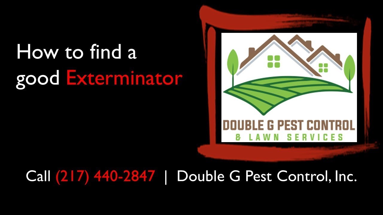 How to find a good exterminator