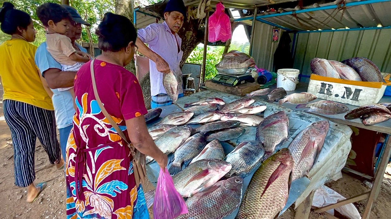 Beautiful! Rural Village Fish Market's Bustling Day & Fisherman's Hard Work
