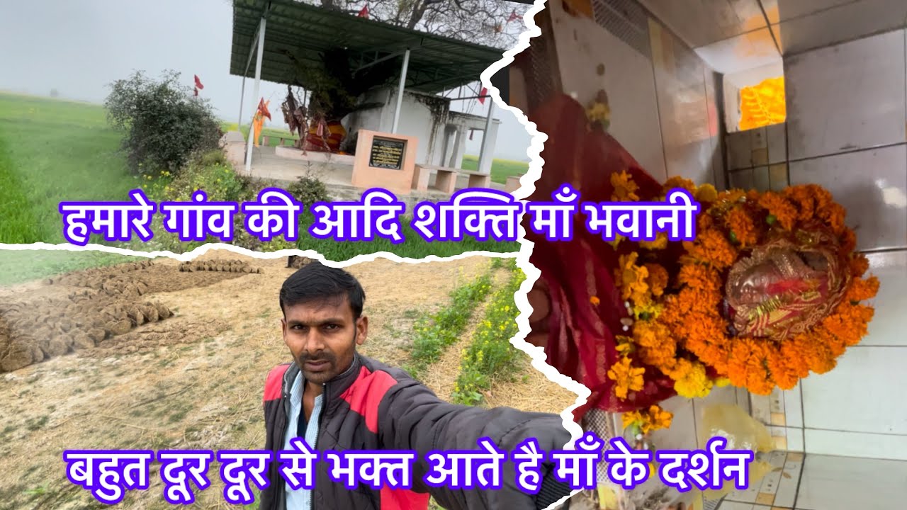 हमारे गाव की प्राचीन माँ भवानी का मंदिर ।