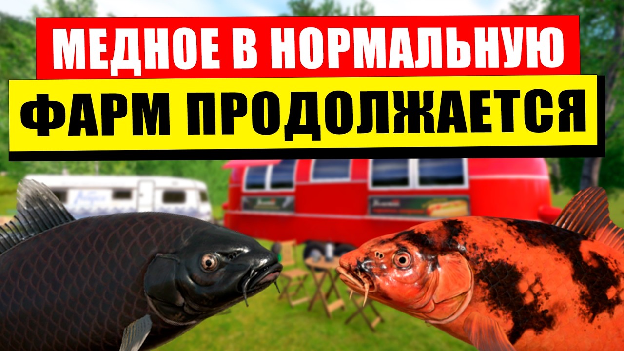 ПРОДОЛЖАЕТСЯ СТАБИЛЬНЫЙ ФАРМ НА МЕДНОМ ОЗЕРЕ В НОРМАЛЬНУЮ ТЕМПЕРАТУРУ! • Русская Рыбалка 4 РР4