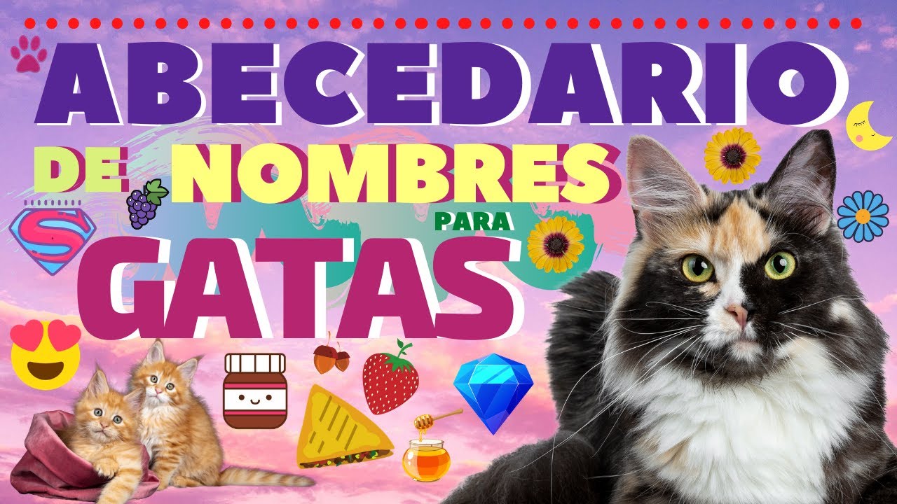 Abecedario de Nombres para Gatas 😻🌟
