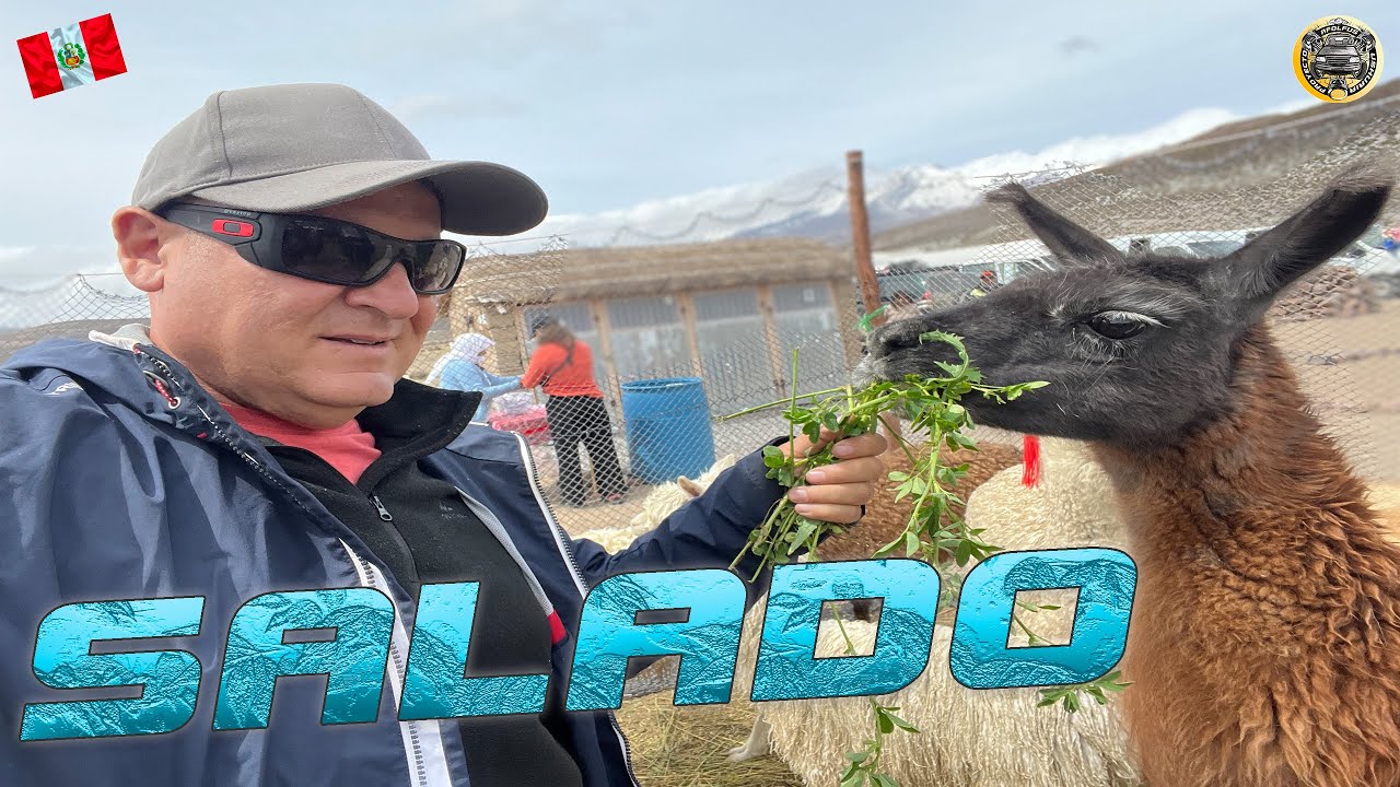 [#24] SALADO / Laguna y Salar Salinas Moche / Mini volcán LoGén / PROYECTO USHUAIA.