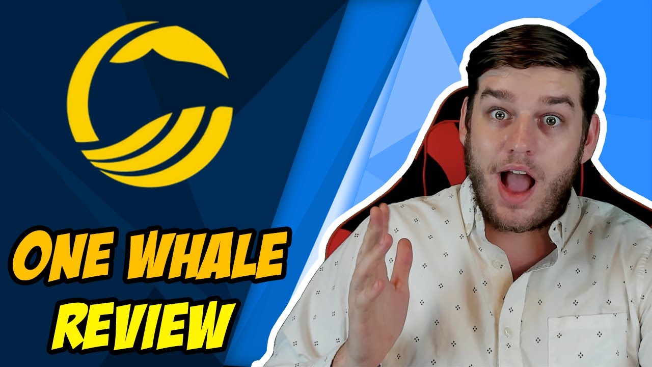 One Whale | A revenue generating reflection token that gives holders limitless passive income.