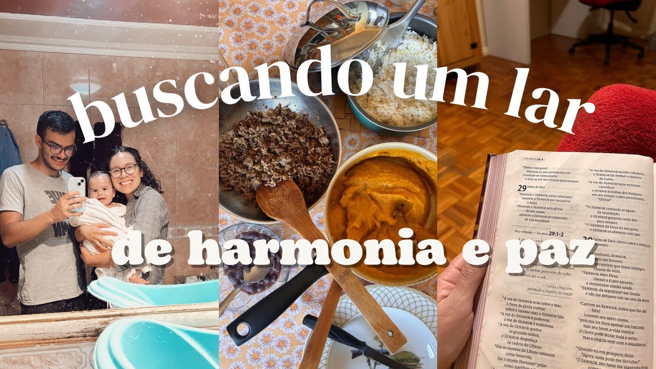 ROTINA DE ORGANIZAÇÃO E LIMPEZA DA MINHA CASA + CRONOGRAMA EDITÁVEL PARA DOWNLOAD #flylady